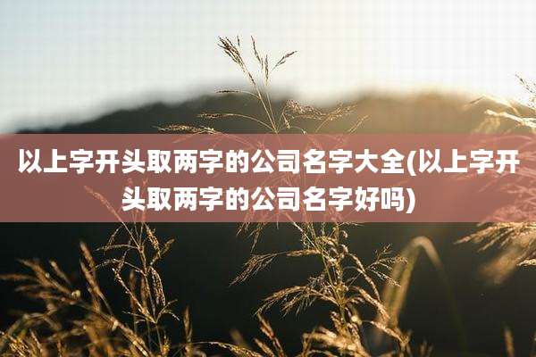 以上字开头取两字的公司名字大全(以上字开头取两字的公司名字好吗)