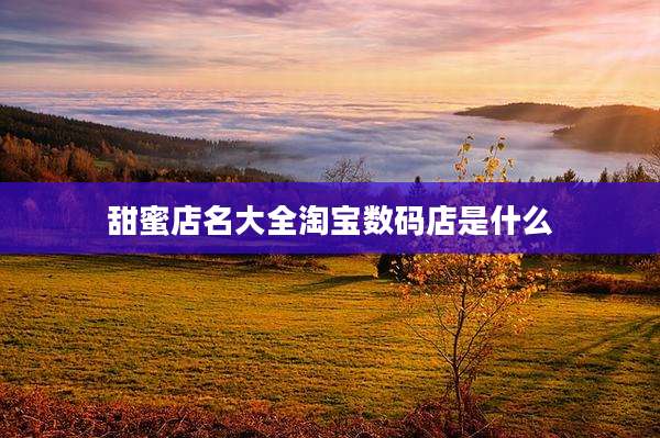 甜蜜店名大全淘宝数码店是什么