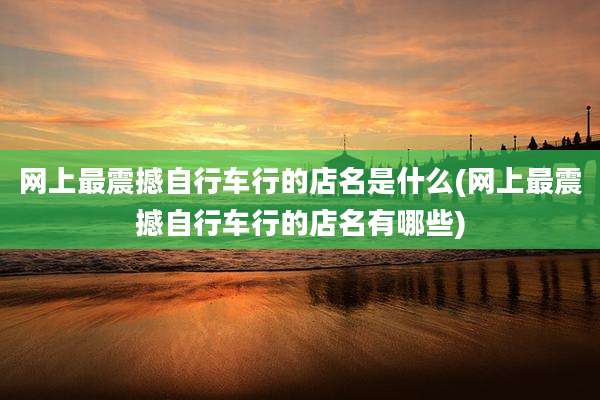 网上最震撼自行车行的店名是什么(网上最震撼自行车行的店名有哪些)