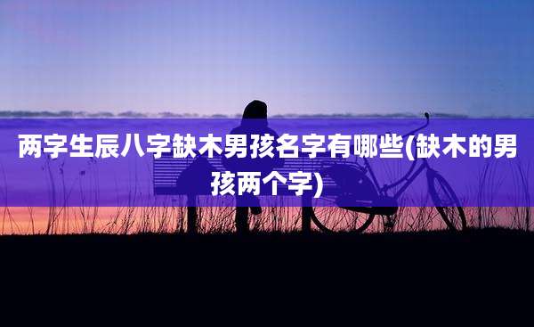 两字生辰八字缺木男孩名字有哪些(缺木的男孩两个字)