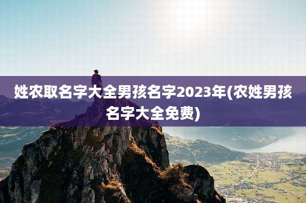 姓农取名字大全男孩名字2023年(农姓男孩名字大全免费)