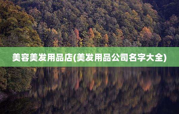 美容美发用品店(美发用品公司名字大全)
