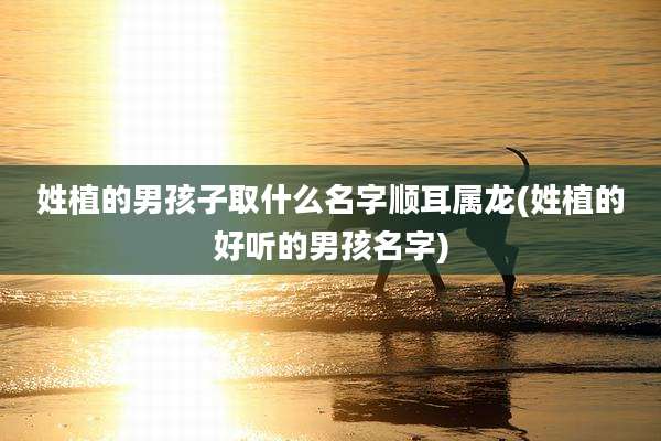 姓植的男孩子取什么名字顺耳属龙(姓植的好听的男孩名字)