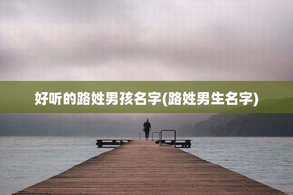 好听的路姓男孩名字(路姓男生名字)