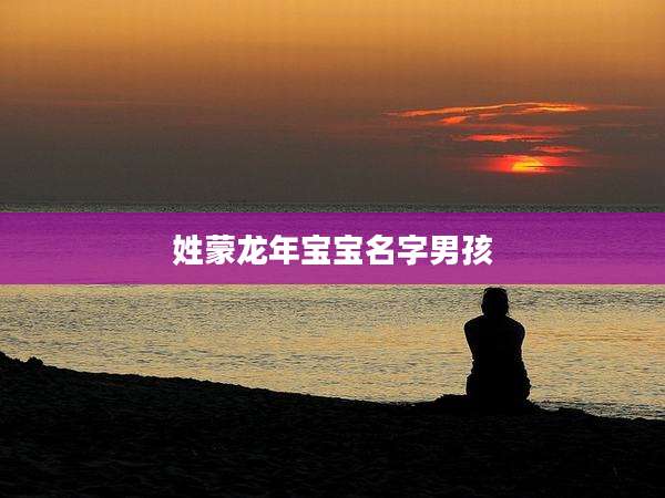 姓蒙龙年宝宝名字男孩
