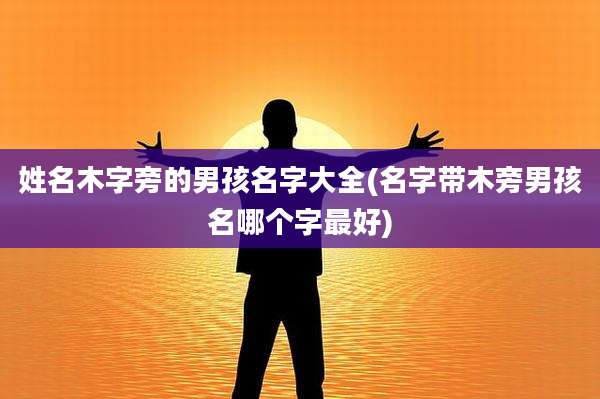 姓名木字旁的男孩名字大全(名字带木旁男孩名哪个字最好)