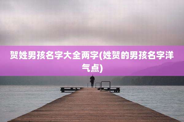 贺姓男孩名字大全两字(姓贺的男孩名字洋气点)