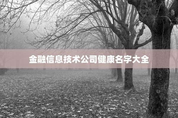 金融信息技术公司健康名字大全