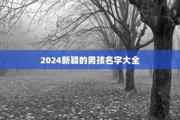 2024新颖的男孩名字大全