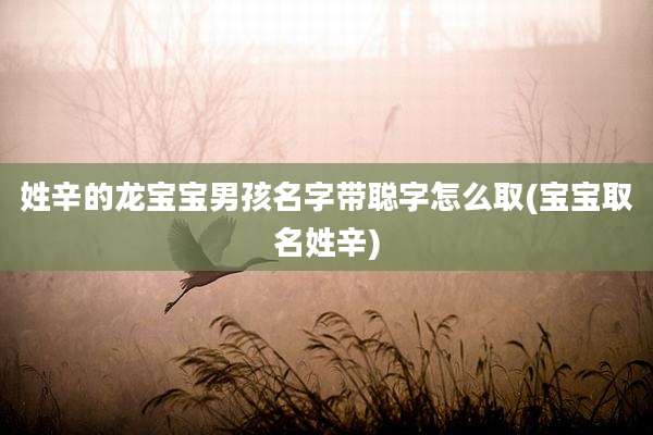 姓辛的龙宝宝男孩名字带聪字怎么取(宝宝取名姓辛)