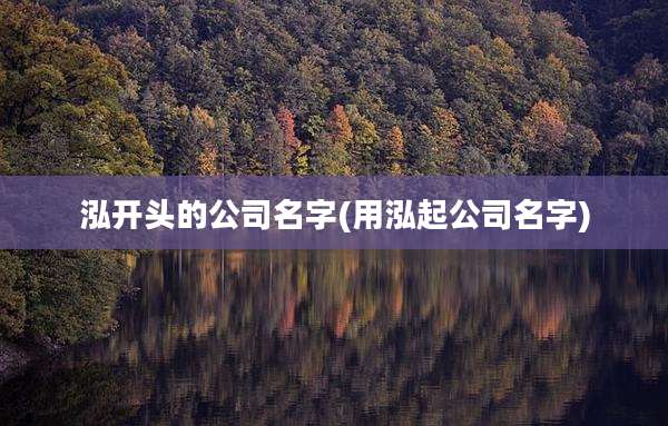 泓开头的公司名字(用泓起公司名字)