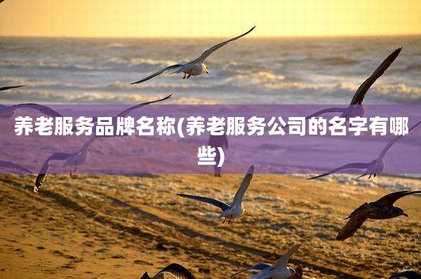 养老服务品牌名称(养老服务公司的名字有哪些)