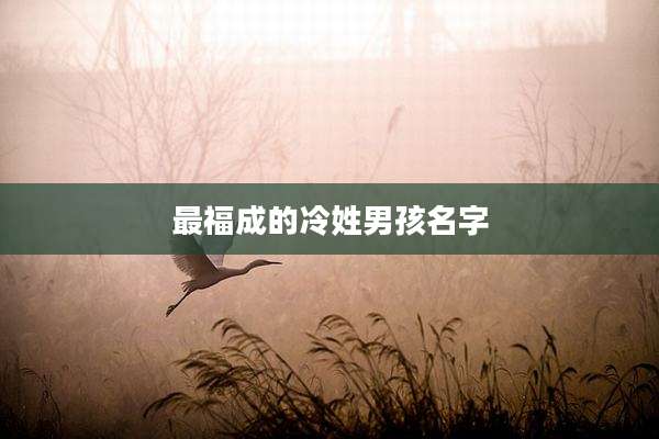最福成的冷姓男孩名字