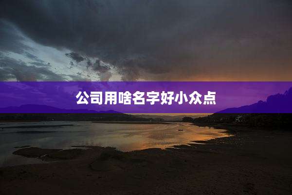 公司用啥名字好小众点