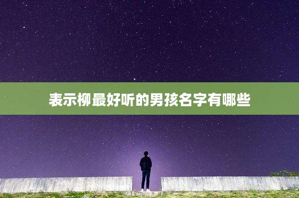 表示柳最好听的男孩名字有哪些
