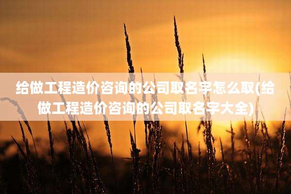 给做工程造价咨询的公司取名字怎么取(给做工程造价咨询的公司取名字大全)