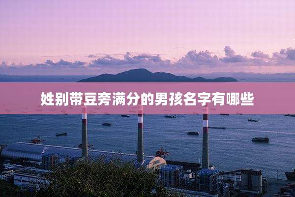 姓别带豆旁满分的男孩名字有哪些