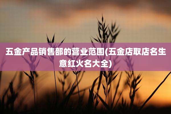 五金产品销售部的营业范围(五金店取店名生意红火名大全)