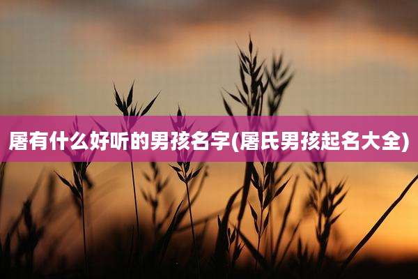 屠有什么好听的男孩名字(屠氏男孩起名大全)