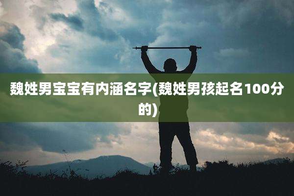 魏姓男宝宝有内涵名字(魏姓男孩起名100分的)