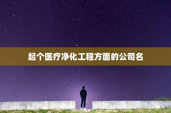 起个医疗净化工程方面的公司名