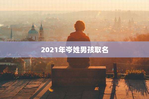 2021年岑姓男孩取名