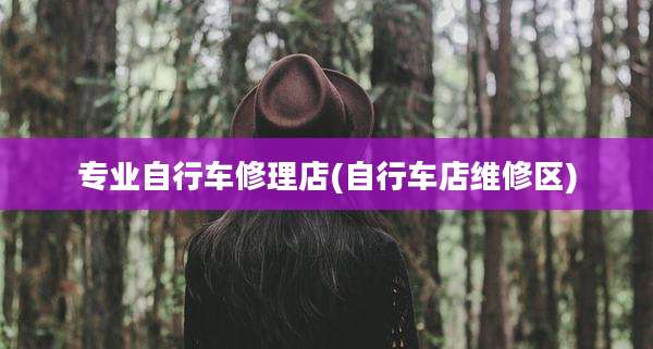 专业自行车修理店(自行车店维修区)