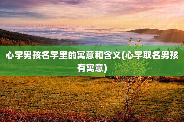 心字男孩名字里的寓意和含义(心字取名男孩有寓意)