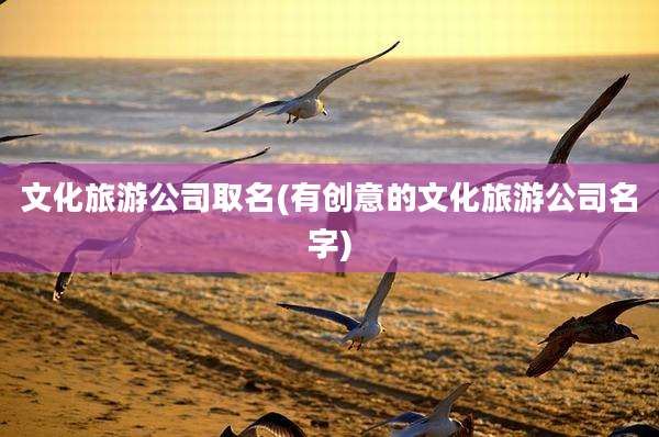 文化旅游公司取名(有创意的文化旅游公司名字)