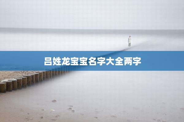 吕姓龙宝宝名字大全两字
