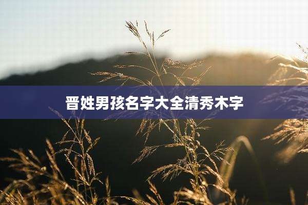 晋姓男孩名字大全清秀木字
