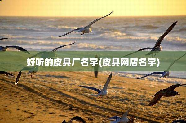 好听的皮具厂名字(皮具网店名字)