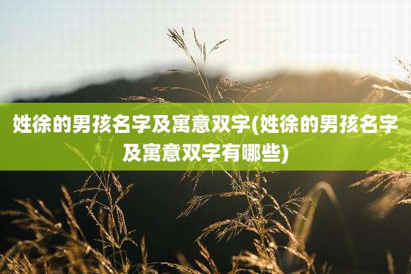 姓徐的男孩名字及寓意双字(姓徐的男孩名字及寓意双字有哪些)