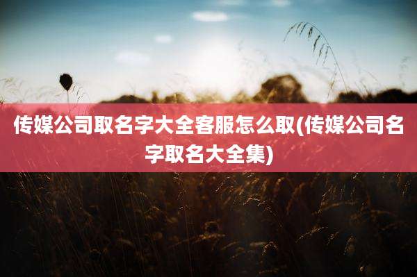 传媒公司取名字大全客服怎么取(传媒公司名字取名大全集)