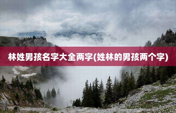 林姓男孩名字大全两字(姓林的男孩两个字)