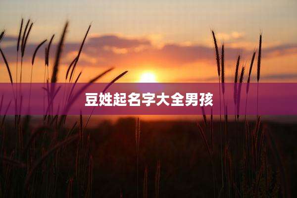 豆姓起名字大全男孩