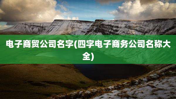 电子商贸公司名字(四字电子商务公司名称大全)