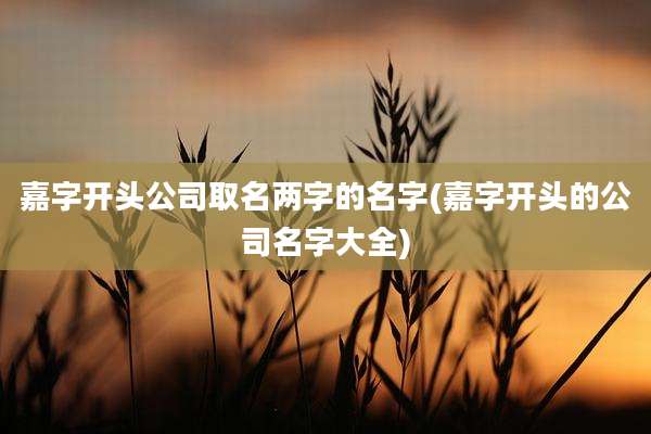 嘉字开头公司取名两字的名字(嘉字开头的公司名字大全)