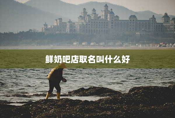鲜奶吧店取名叫什么好