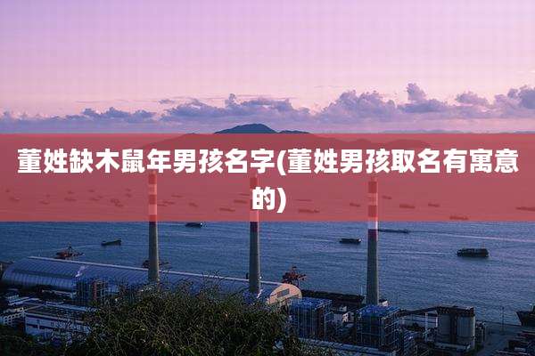 董姓缺木鼠年男孩名字(董姓男孩取名有寓意的)