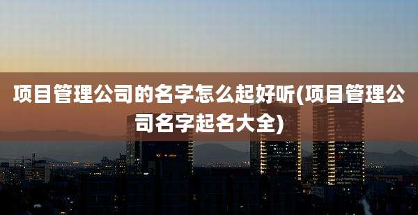 项目管理公司的名字怎么起好听(项目管理公司名字起名大全)