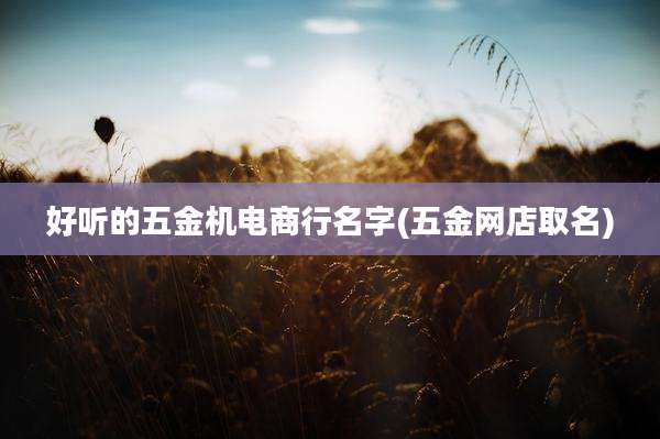 好听的五金机电商行名字(五金网店取名)