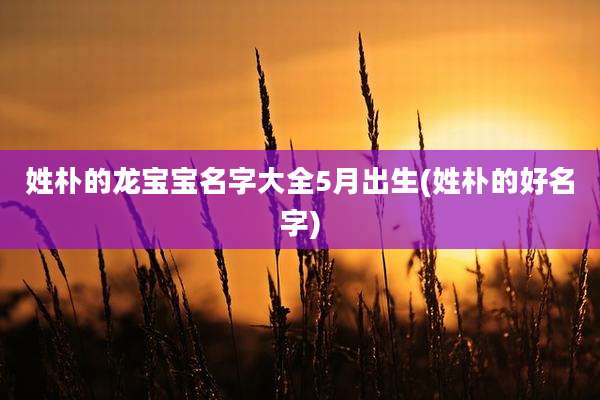 姓朴的龙宝宝名字大全5月出生(姓朴的好名字)