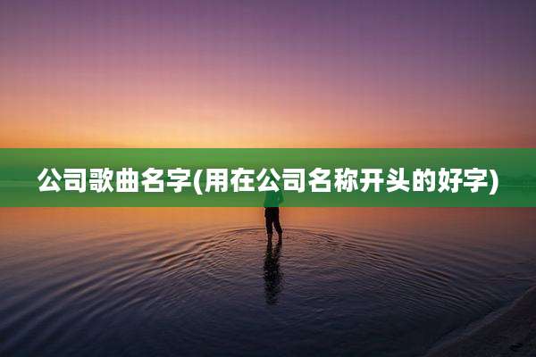 公司歌曲名字(用在公司名称开头的好字)