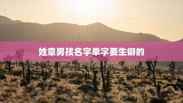 姓章男孩名字单字要生僻的