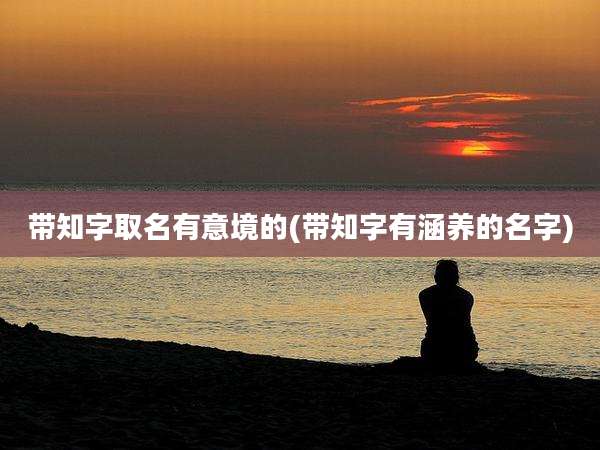 带知字取名有意境的(带知字有涵养的名字)
