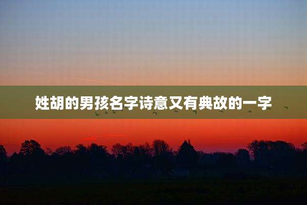 姓胡的男孩名字诗意又有典故的一字