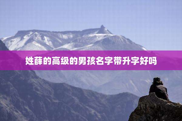 姓薛的高级的男孩名字带升字好吗