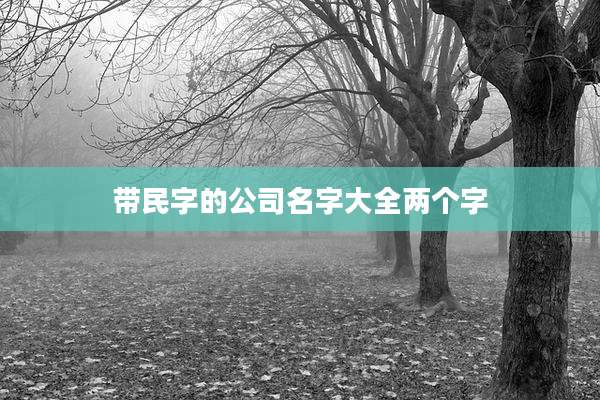 带民字的公司名字大全两个字