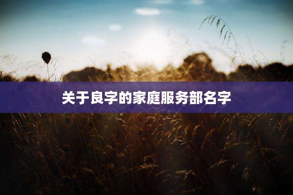 关于良字的家庭服务部名字